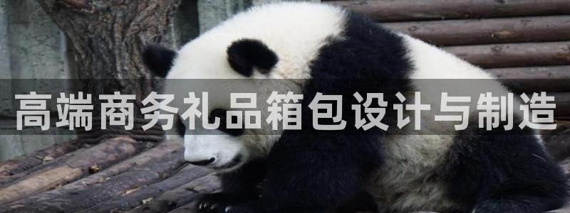 琳琅娱乐工作室招聘电话