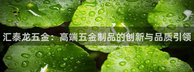 琳琅娱乐平台是真的吗