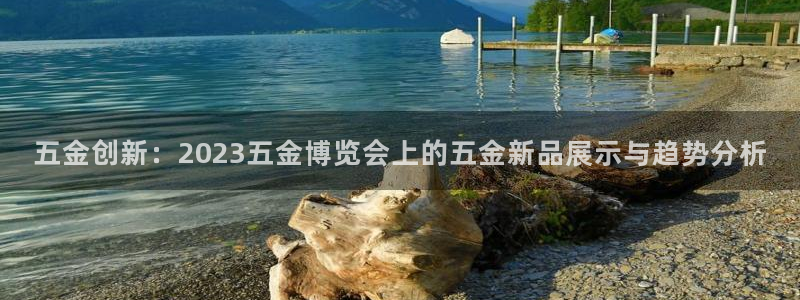 琳琅科技娱乐机器人