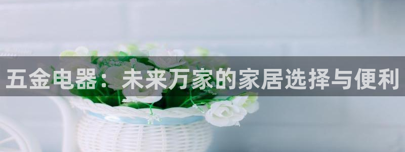 琳琅娱乐组飞车