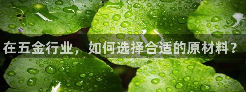 琳琅游戏娱乐