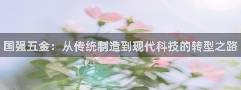 qq飞车琳琅娱乐组