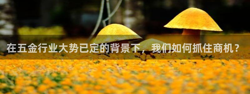 琳琅QQ娱乐机器人