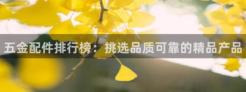 娱乐从琳琅榜开始笔趣阁