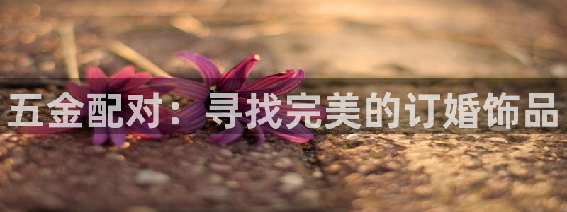 琳琅娱乐温柔乡网站