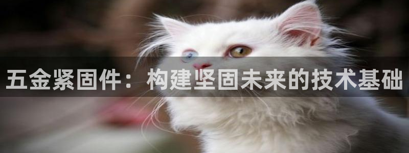 琳琅娱乐平台帐7O777