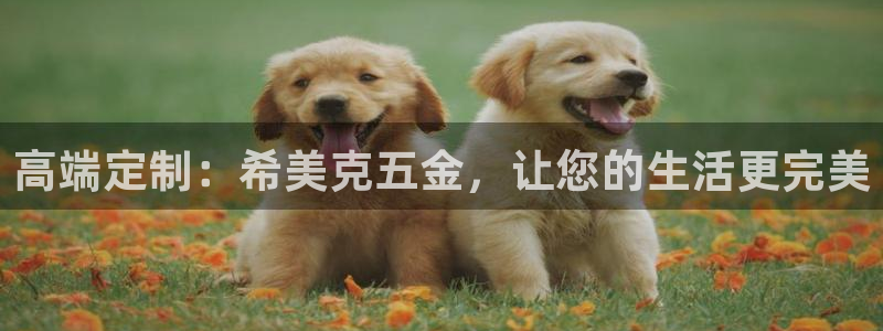 琳琅娱乐前7O777