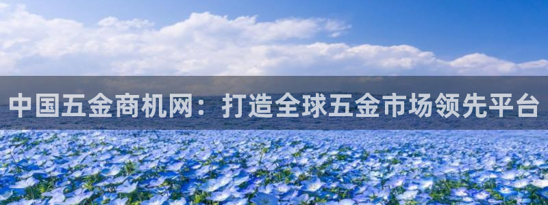 琳琅娱乐挂机