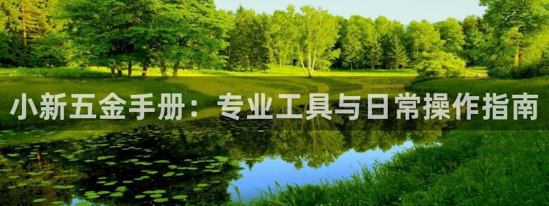 琳琅科技娱乐机器人插件