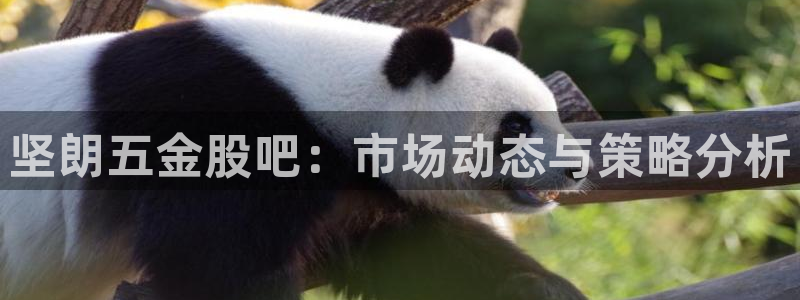 琳琅社区文艺娱乐