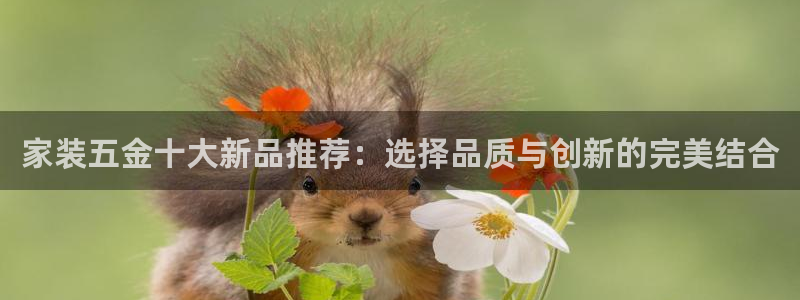 琳琅游戏娱乐
