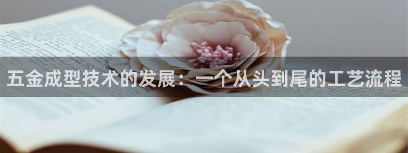 琳琅娱乐 全麦优质