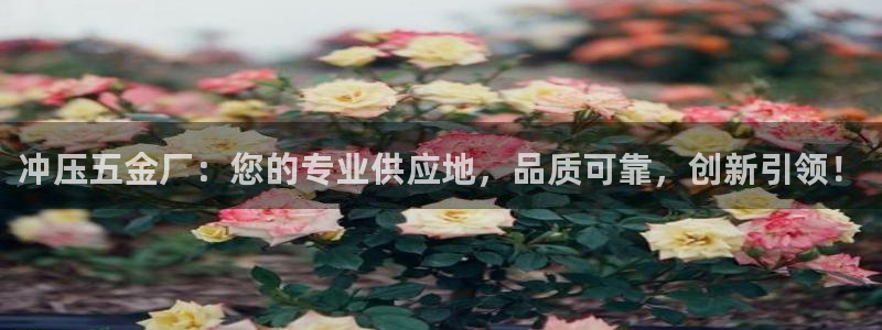 琳琅社区娱乐视频