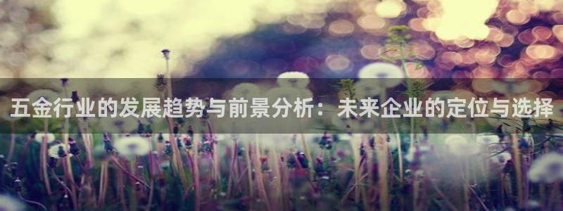 琳琅娱乐代理