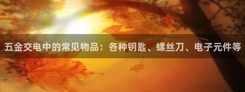琳琅娱乐工作室地址查询