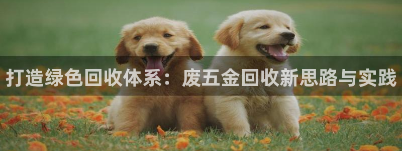 梧州琳琅娱乐城