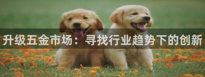 琳琅娱乐在哪直播