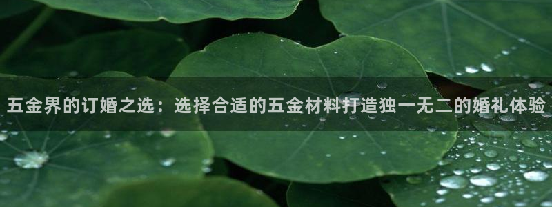 琳琅娱乐代理怎么做