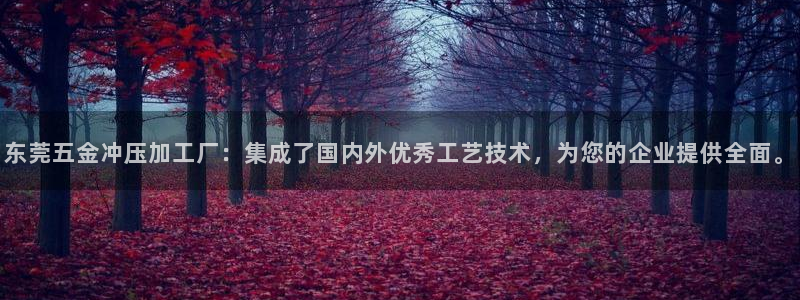 琳琅社区文艺娱乐