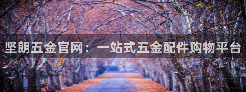 琳琅娱乐代理人是谁