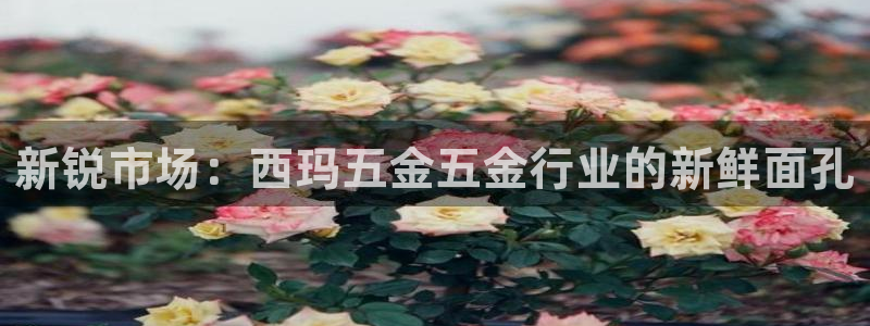 琳琅满目的娱乐设施