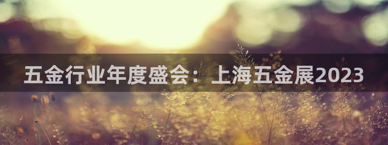 琳琅科技娱乐机器人插件