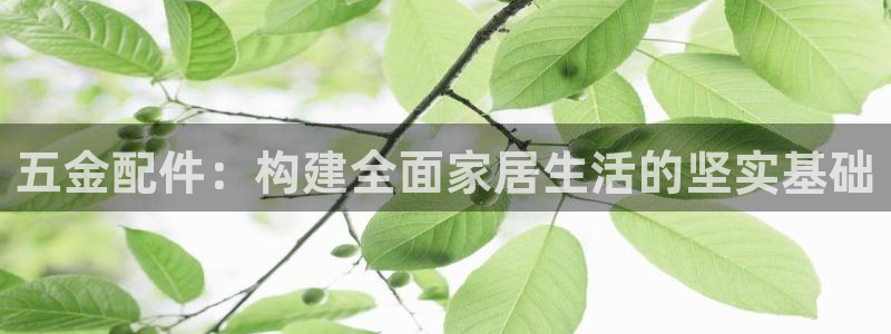 琳琅科技娱乐qq机器人词库