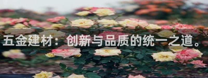 琳琅娱乐官网
