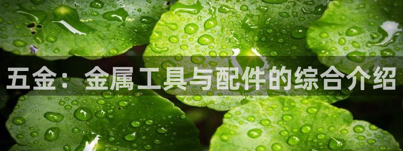 琳琅娱乐平台怎么样啊