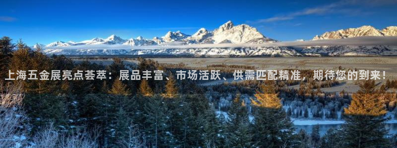 琳琅娱乐招商
