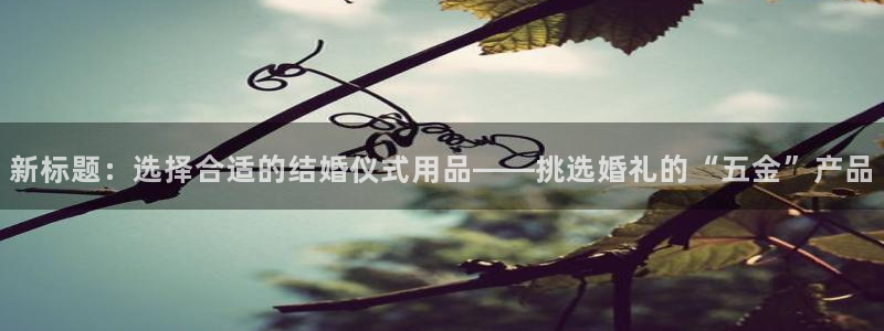 琳琅娱乐社区600u