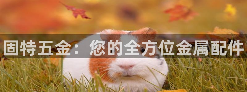 琳琅娱乐代理怎么样