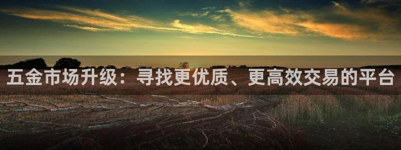 琳琅QQ娱乐机器人