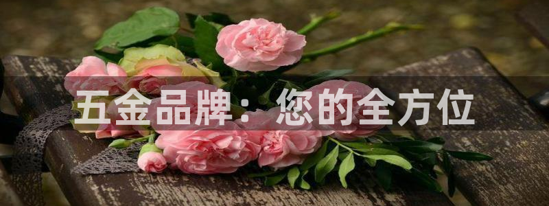 琳琅娱乐机器人