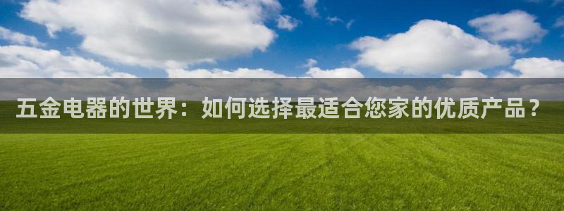 琳琅娱乐 全麦优质