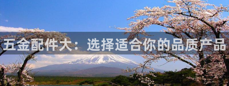 琳琅娱乐组飞车