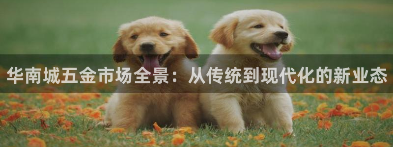 琳琅娱乐信誉33300