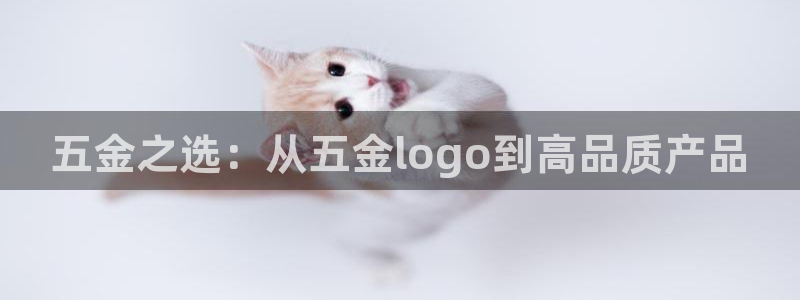 琳琅谈娱乐