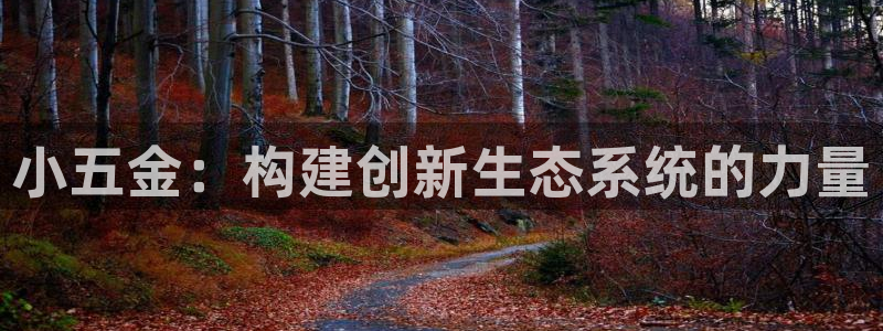 琳琅娱乐园