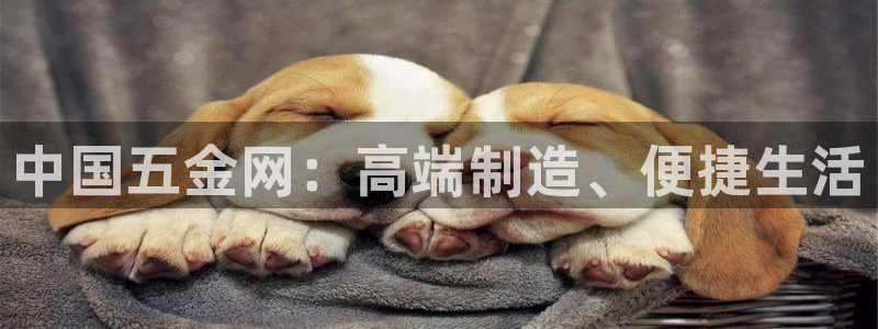 琳琅娱乐工作室怎么样啊