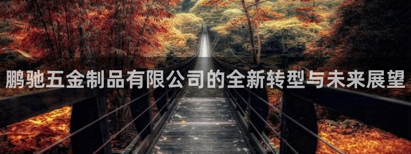 琳琅娱乐社区600u