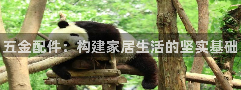 琳琅科技娱乐qq机器人词库