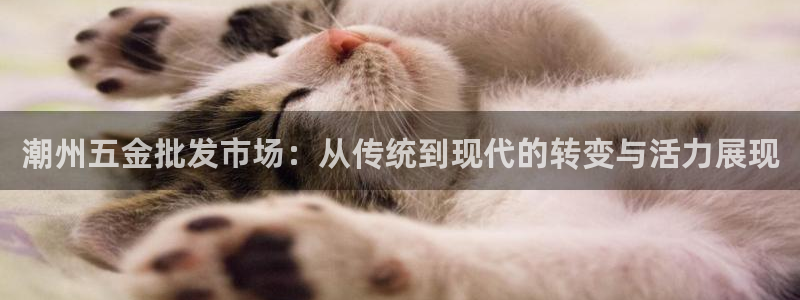 琳琅科技娱乐机器人