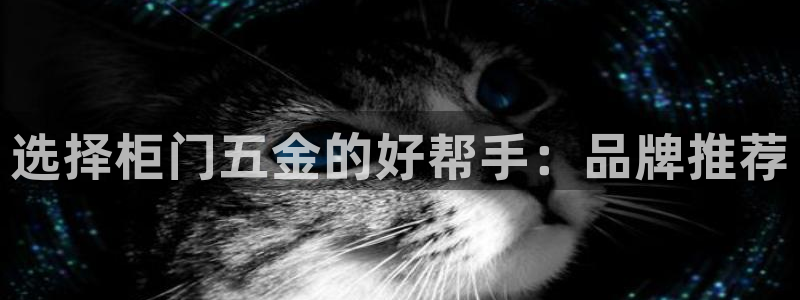 琳琅娱乐工作室怎么样啊
