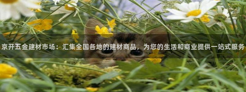 琳琅娱乐成年女人视频