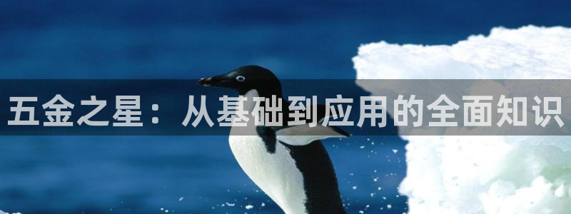琳琅国际娱乐会所电话