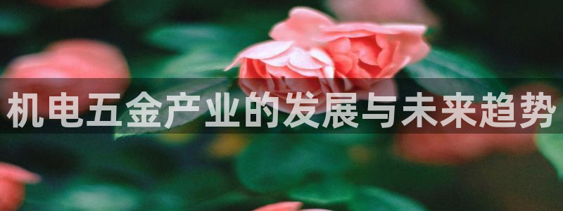 琳琅科技娱乐机器人