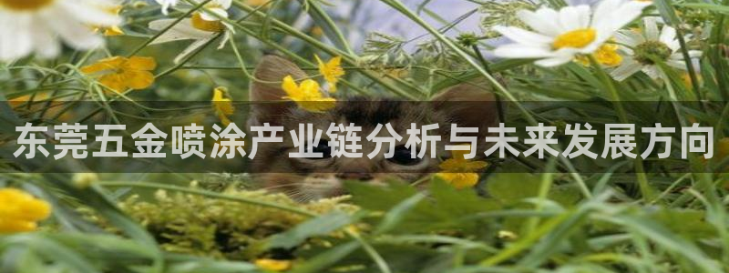 琳琅娱乐官网