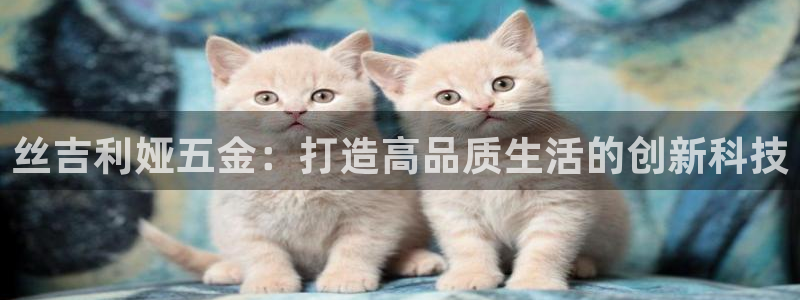 琳琅AV娱乐