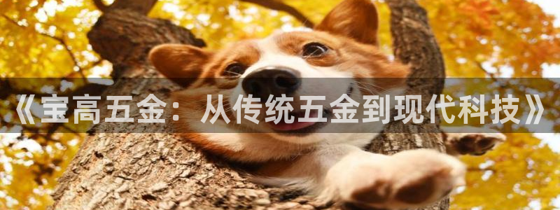 琳琅娱乐领先33300